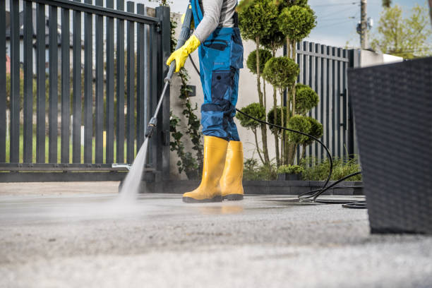 Best Building Exterior Washing  in Trainer, PA